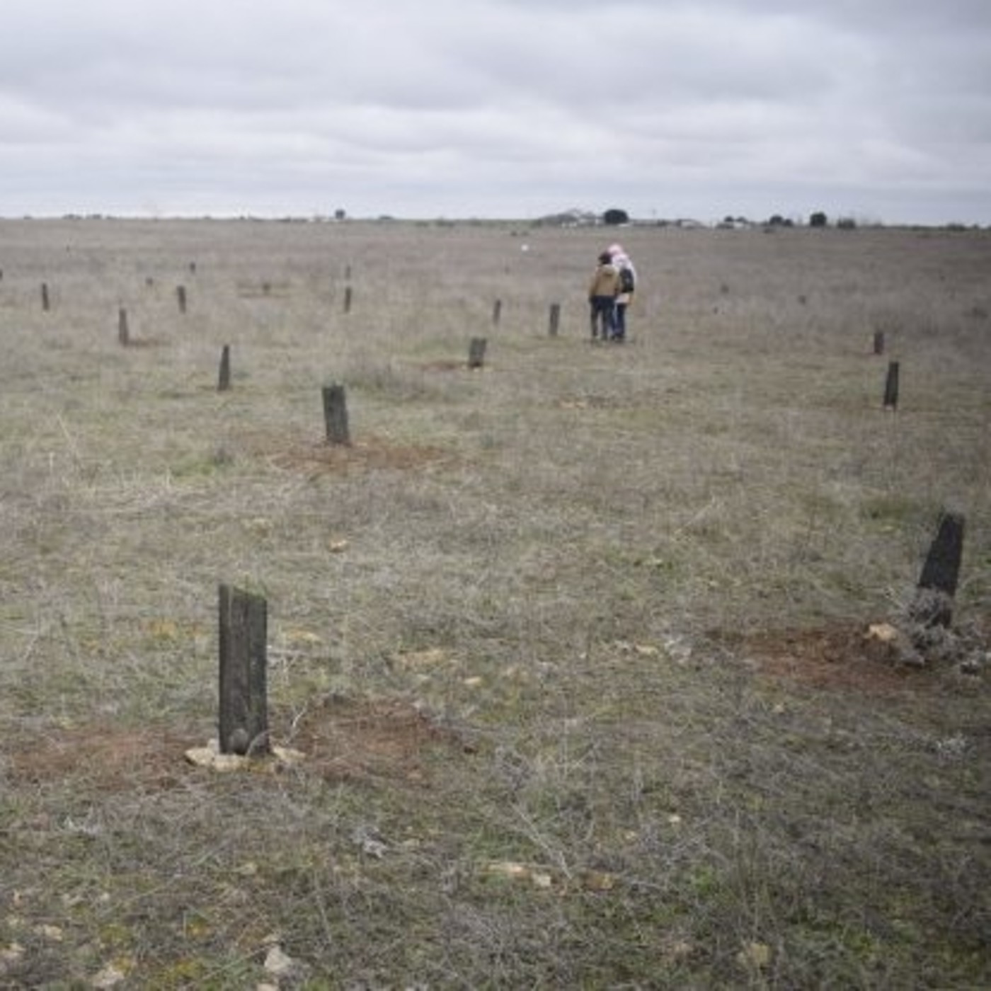 Piloto: Informativo Medio Ambiental de Castilla-La