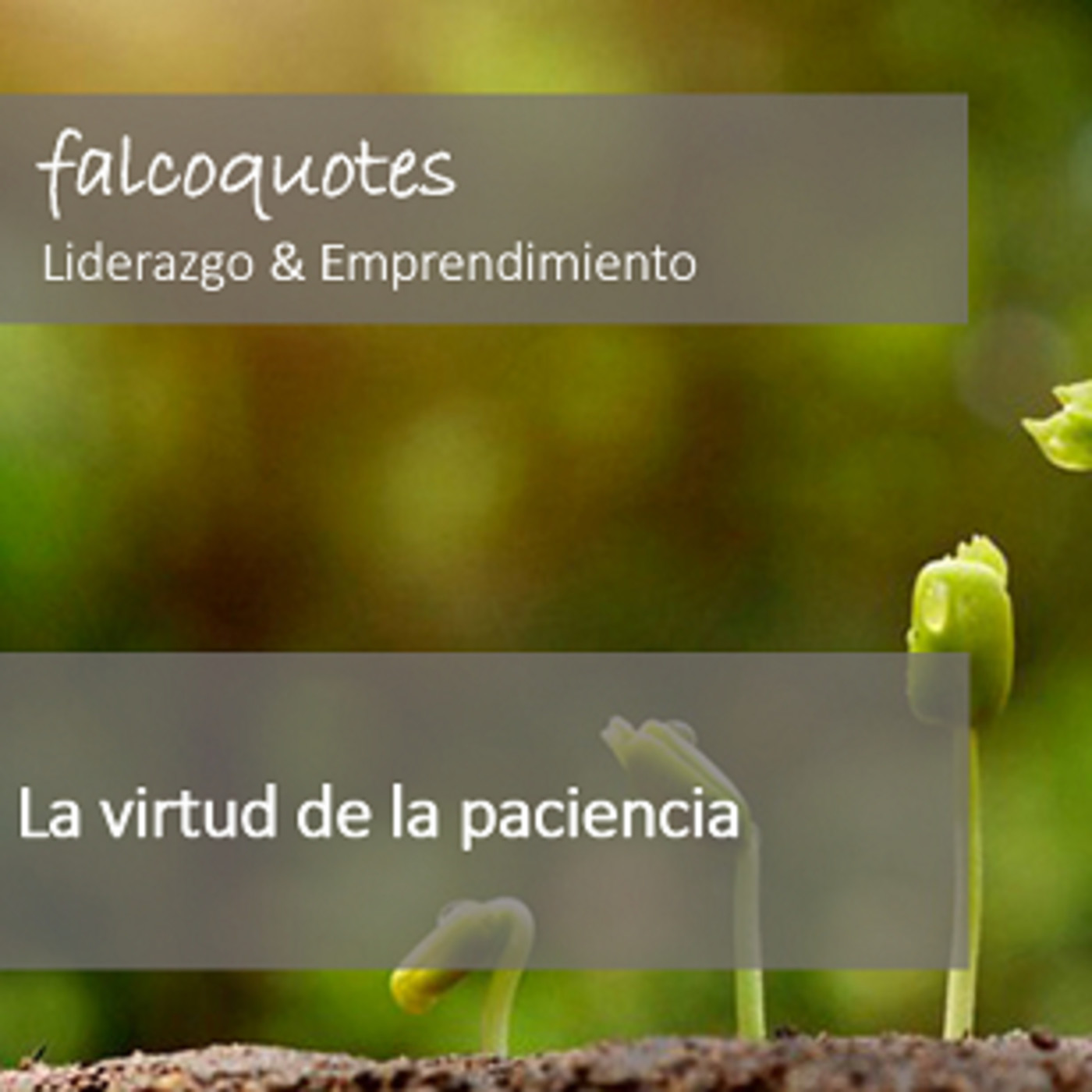 Falcoquotes: Emprendimiento Y Liderazgo