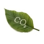 150112 Ciencia para todos - El dióxido de carbono y el ciclo del carbono