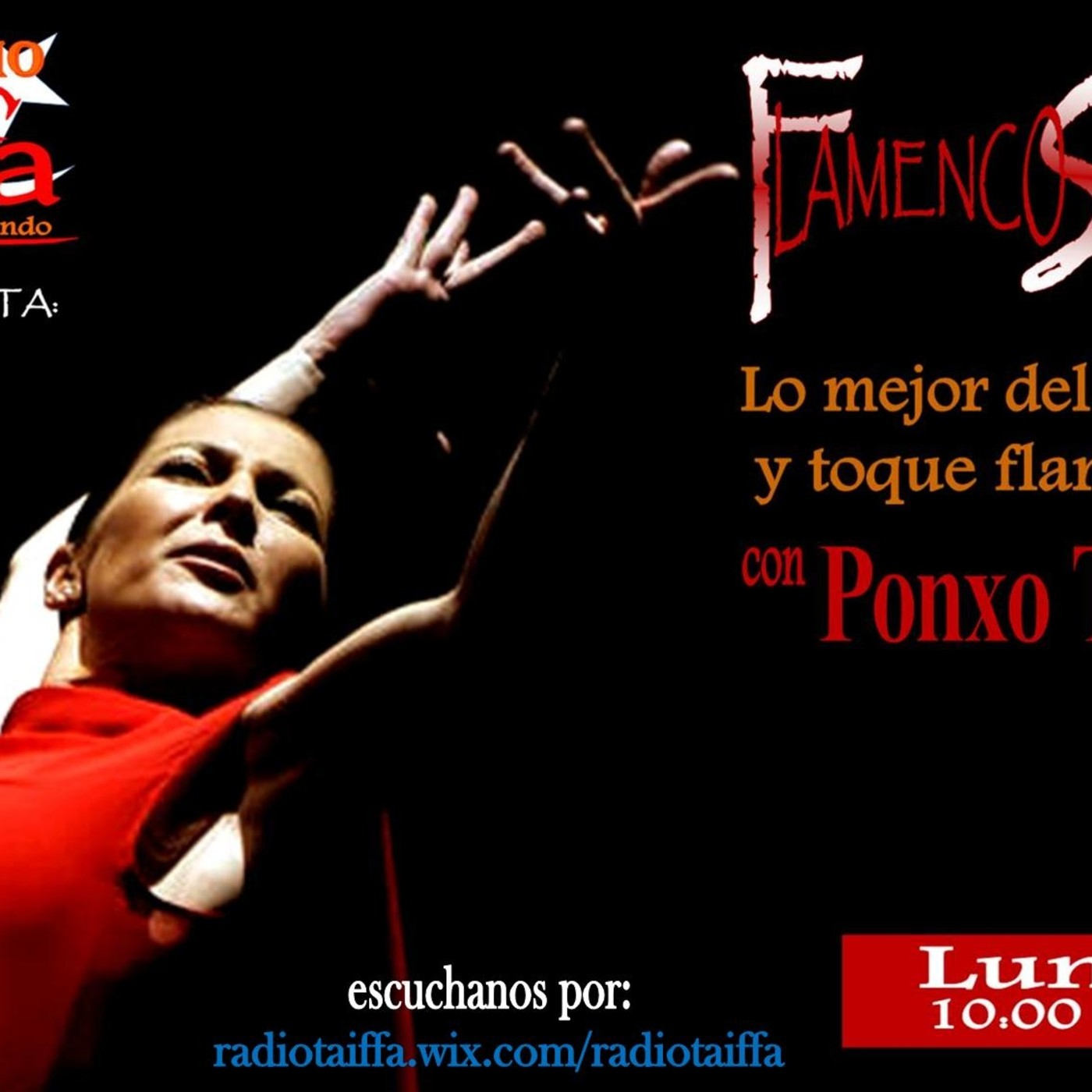 FLAMENCO SOY