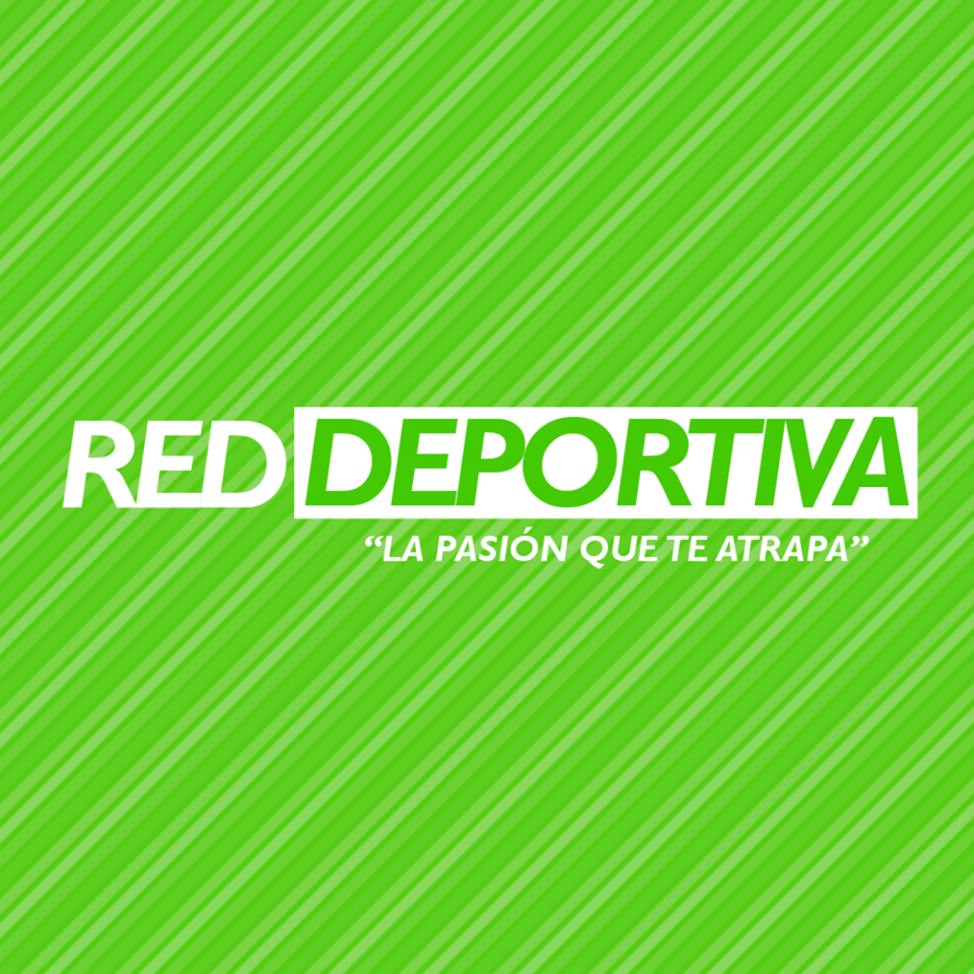 Partidos PrimeraB