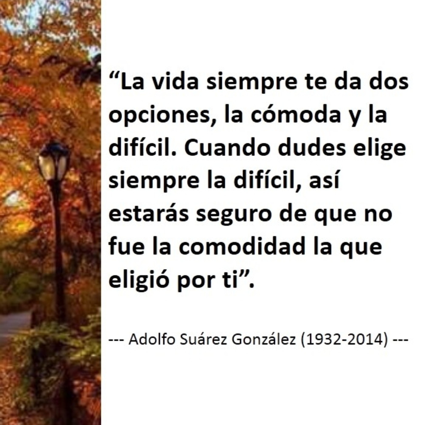 Linkedin: herramienta de desarrollo de la estrategia empresarial y sus exportaciones.