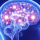 embed image