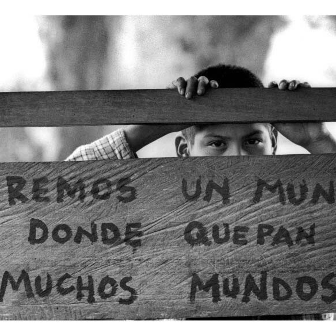 Marxismo salvaje