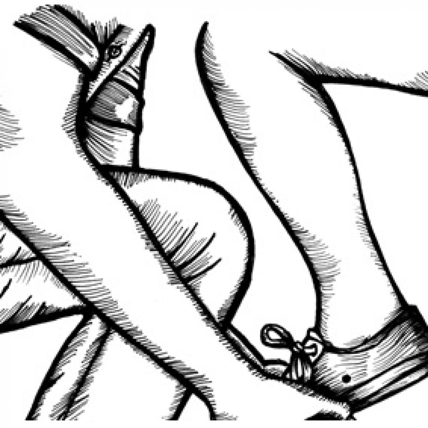 Podcast de Oídos Rebeldes