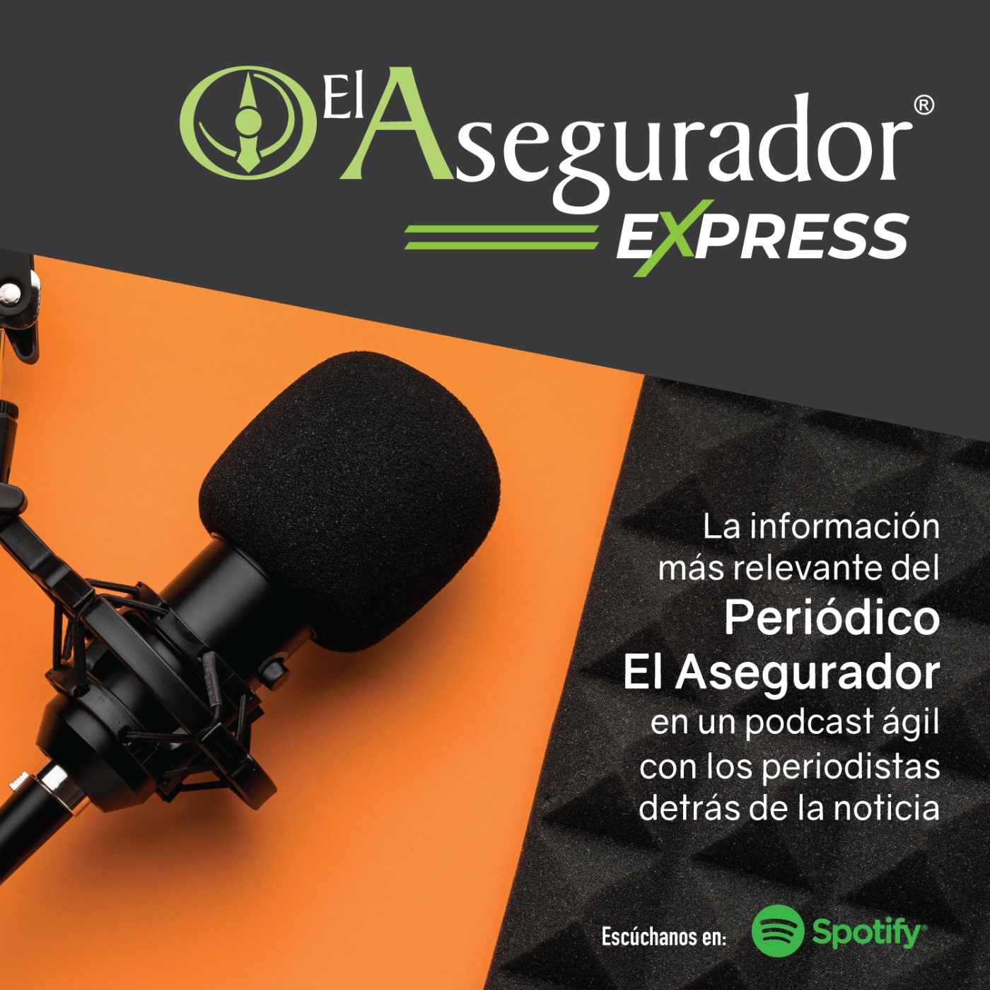El Asegurador