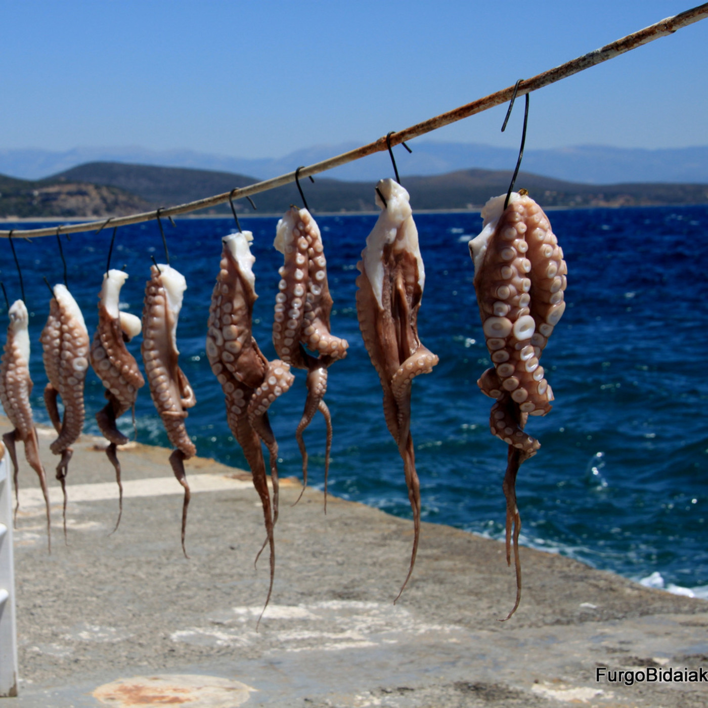 Los Viajes de Nautilus 1x06 - Peloponeso, la Grecia más auténtica