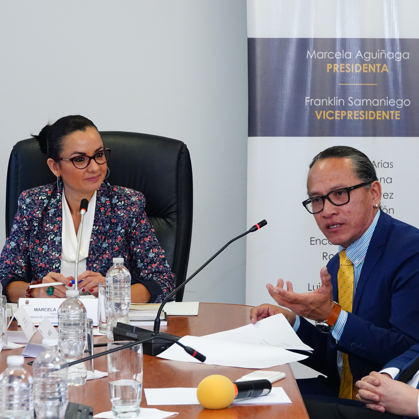 Comisión de Justicia - Asamblea Nacional