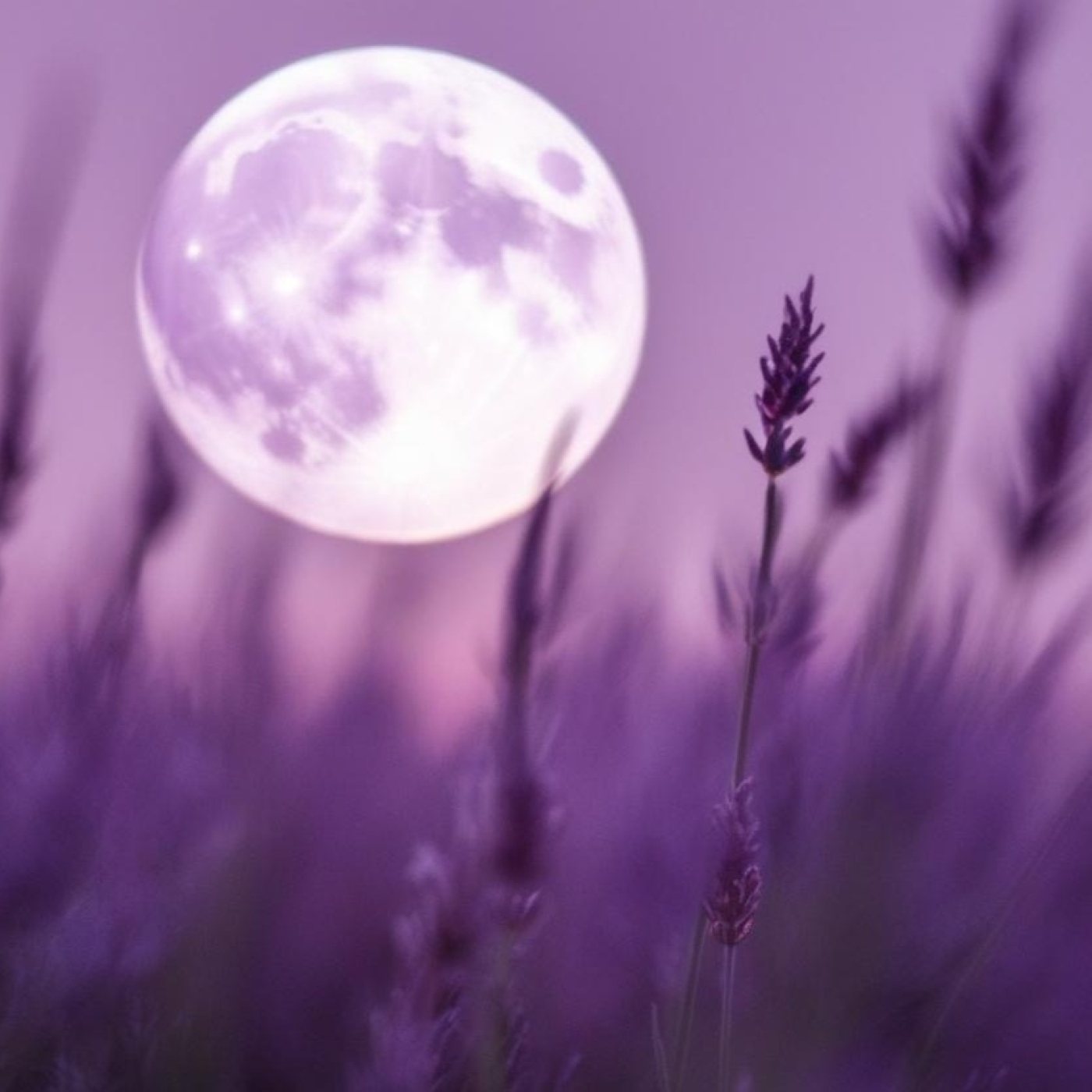 Nuria Claro de Luna médium escribiente