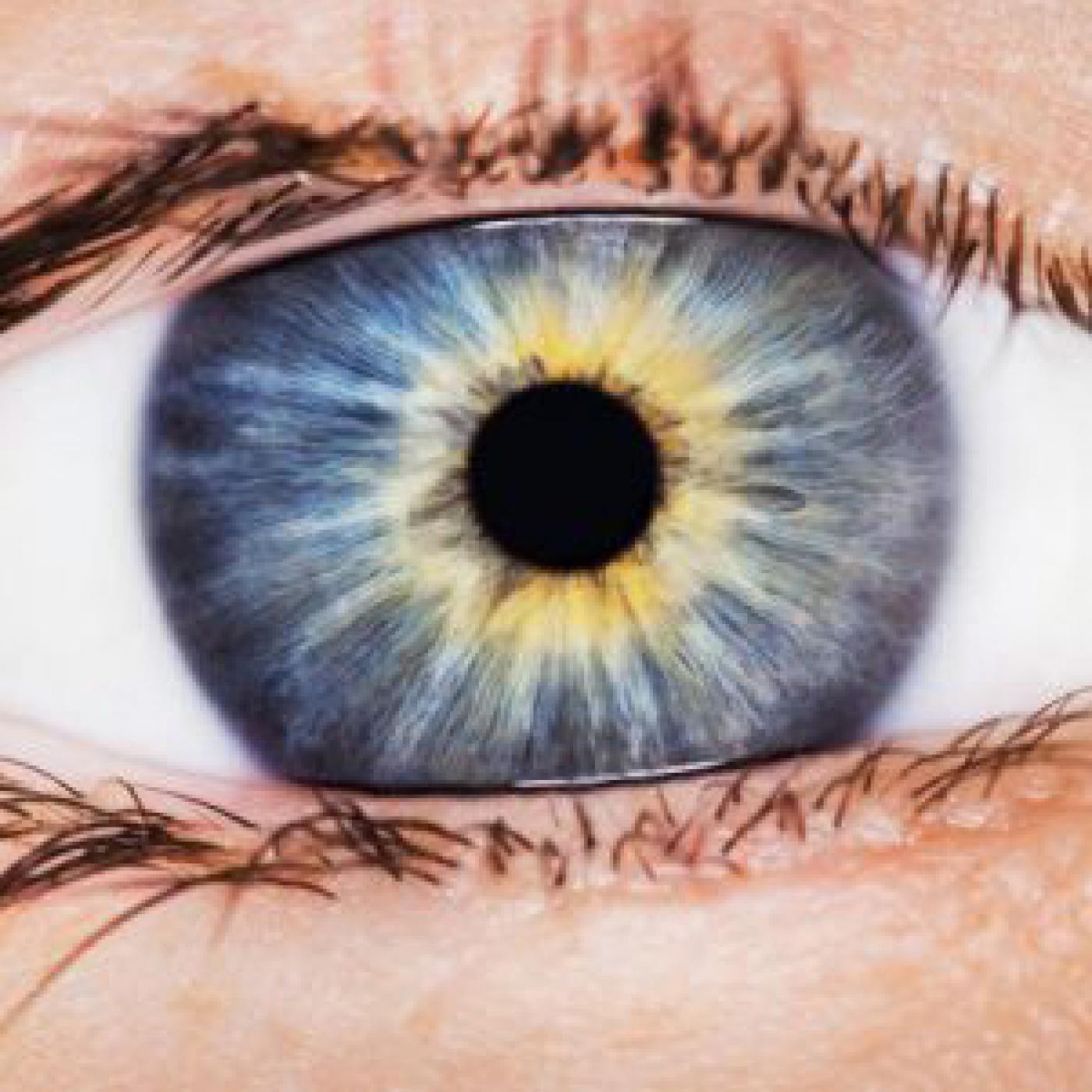 SEMI BQ CEC 1 Abr. 16- 2016