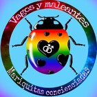 Vagos y maleantes, Temporada 2, Programa 4