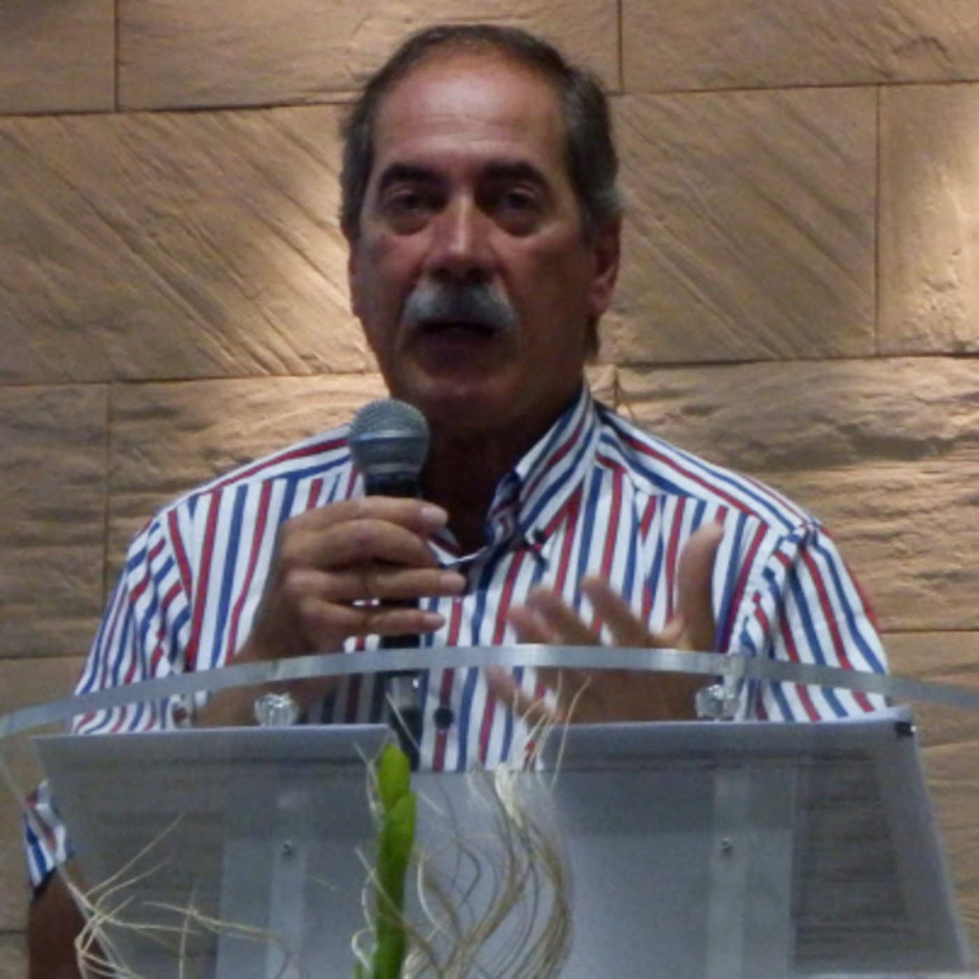 Predicaciones