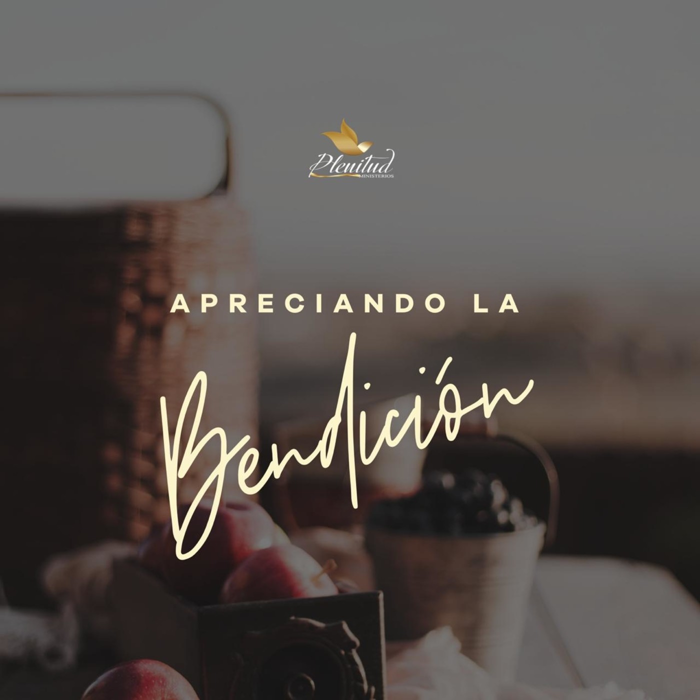 Ministerios Plenitud - Prédicas Dominicales