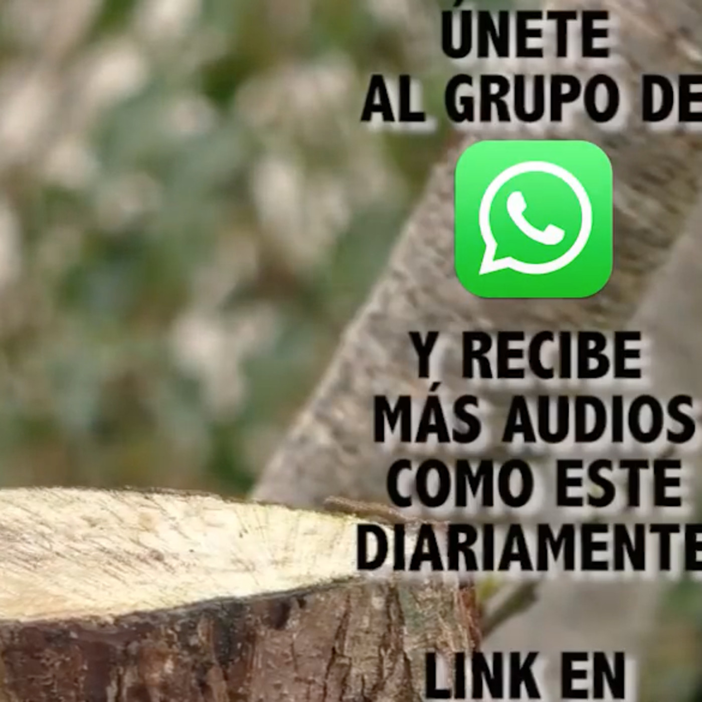 Podcast de Ernesto Guerra del ClubdeSuperacion.com