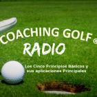 Los cinco prinpios basicos, programa2