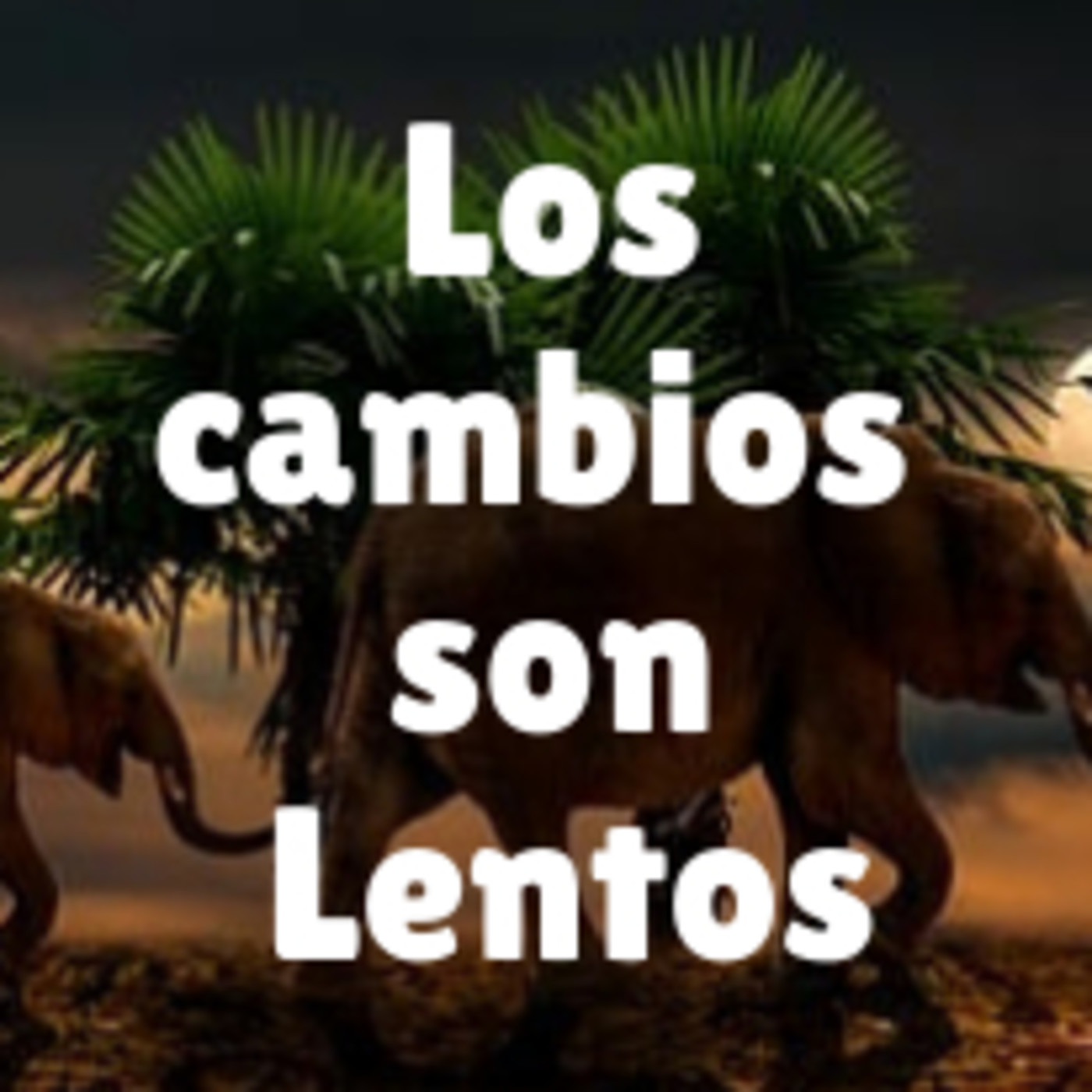 CONECTA CON TU ESENCIA, CONECTA CON TU INTERIOR