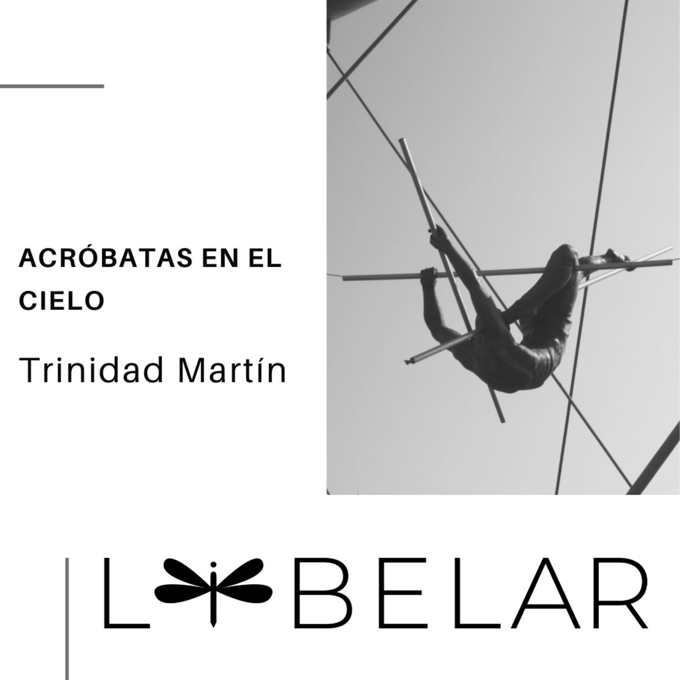 Libelar, vuelan las palabras...