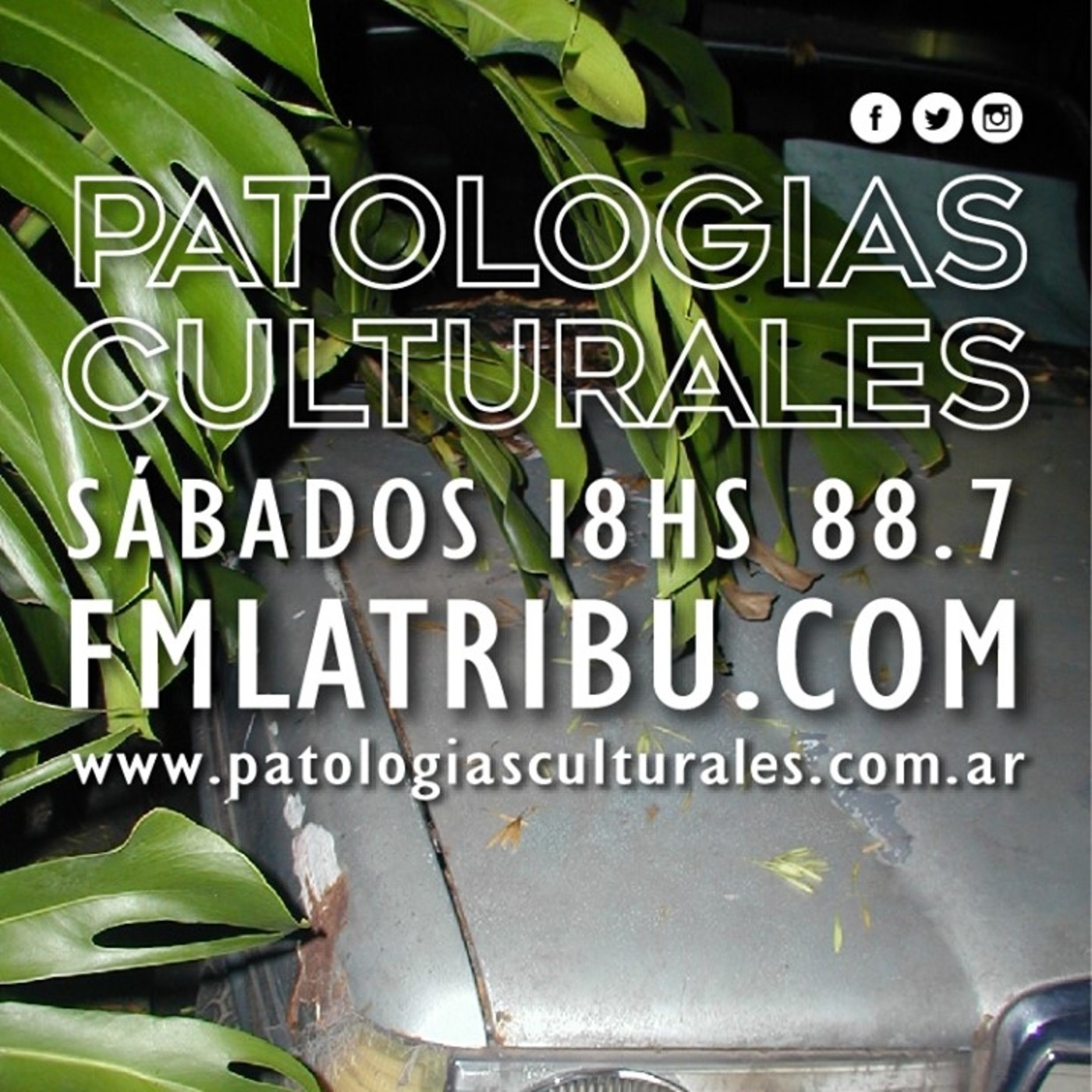 PODCAST | Canciones y poemas episode artwork