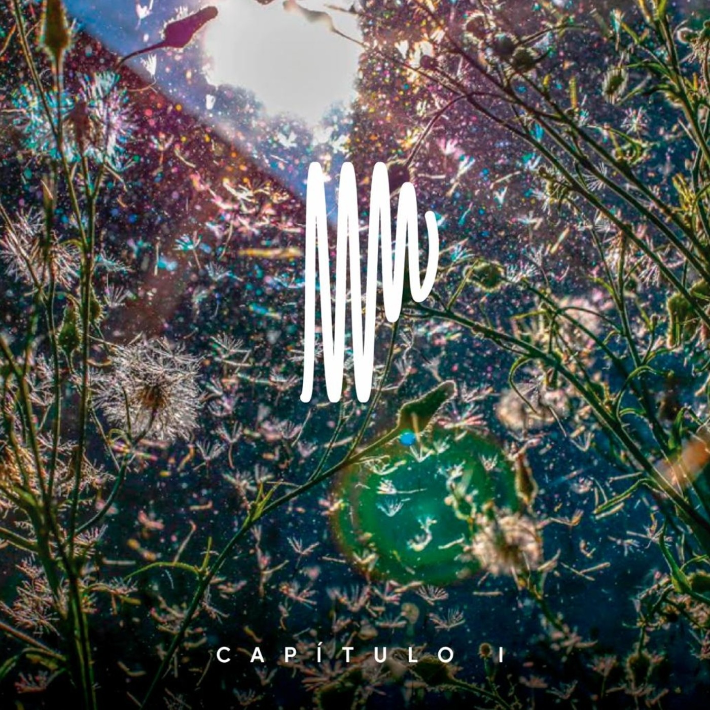 Poesía Ambiente