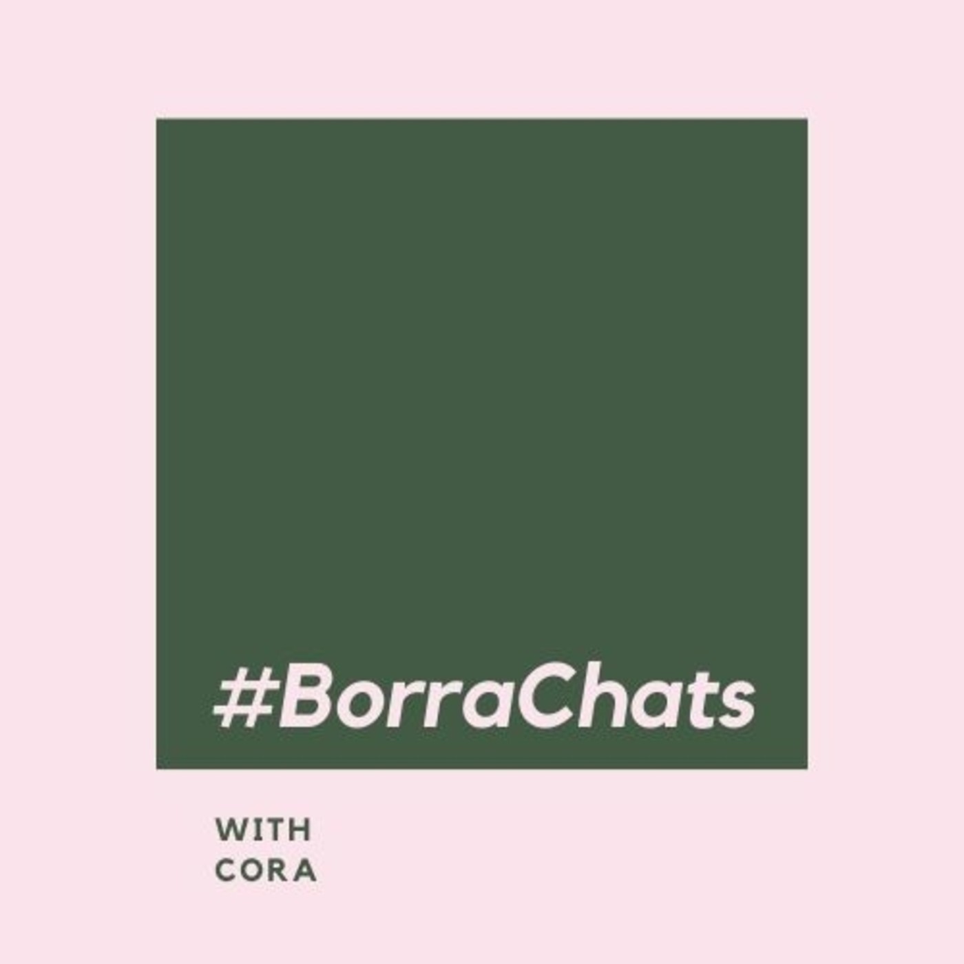 BorraChats
