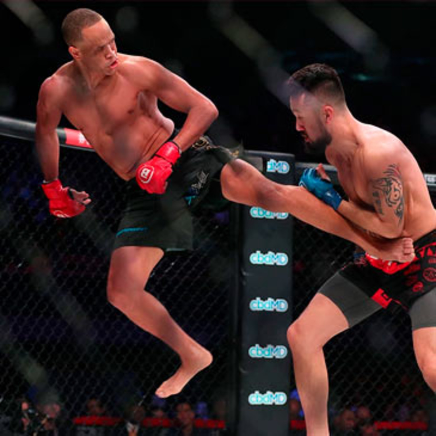 Dragonz | Artes Marciales y Deportes de Contacto