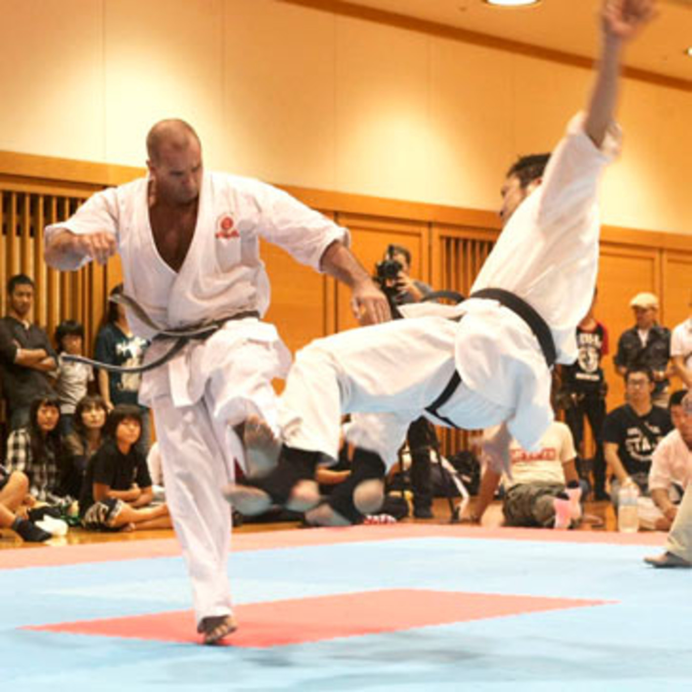 Dragonz | Artes Marciales y Deportes de Contacto