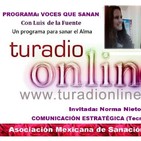 Voces que Sanan La Comunicación Estratégic