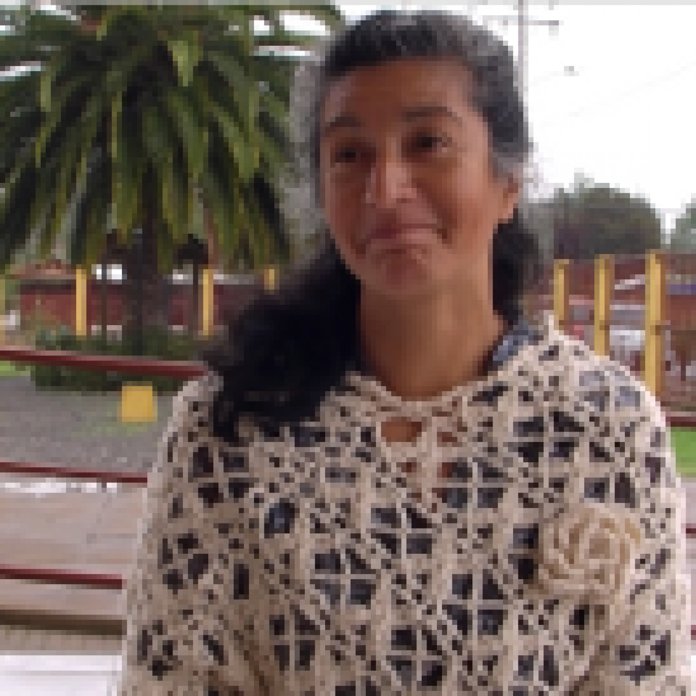 Entrevistas 4Elementos
