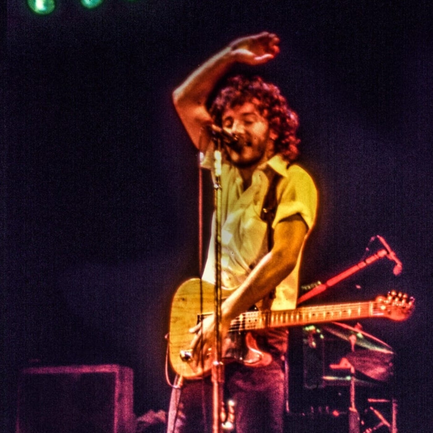 Els Fans de Bruce Springsteen