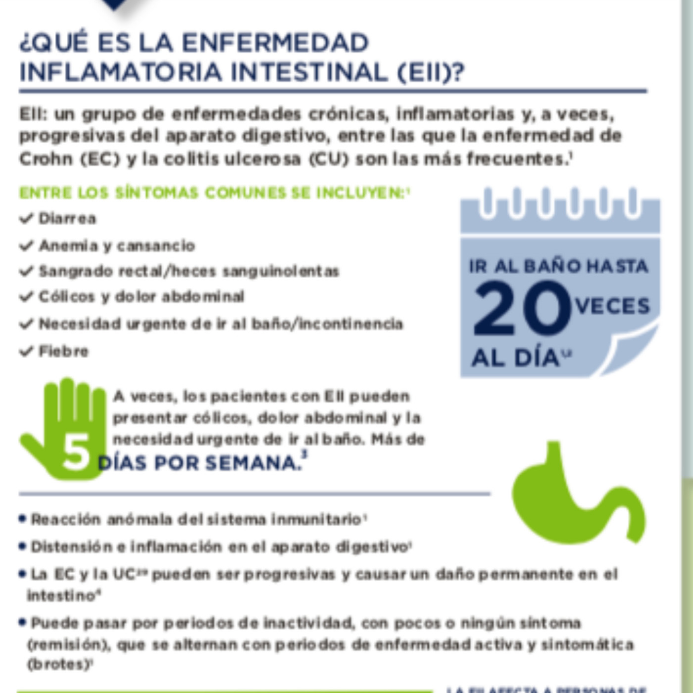 Podcast Comunitario Sayhueque