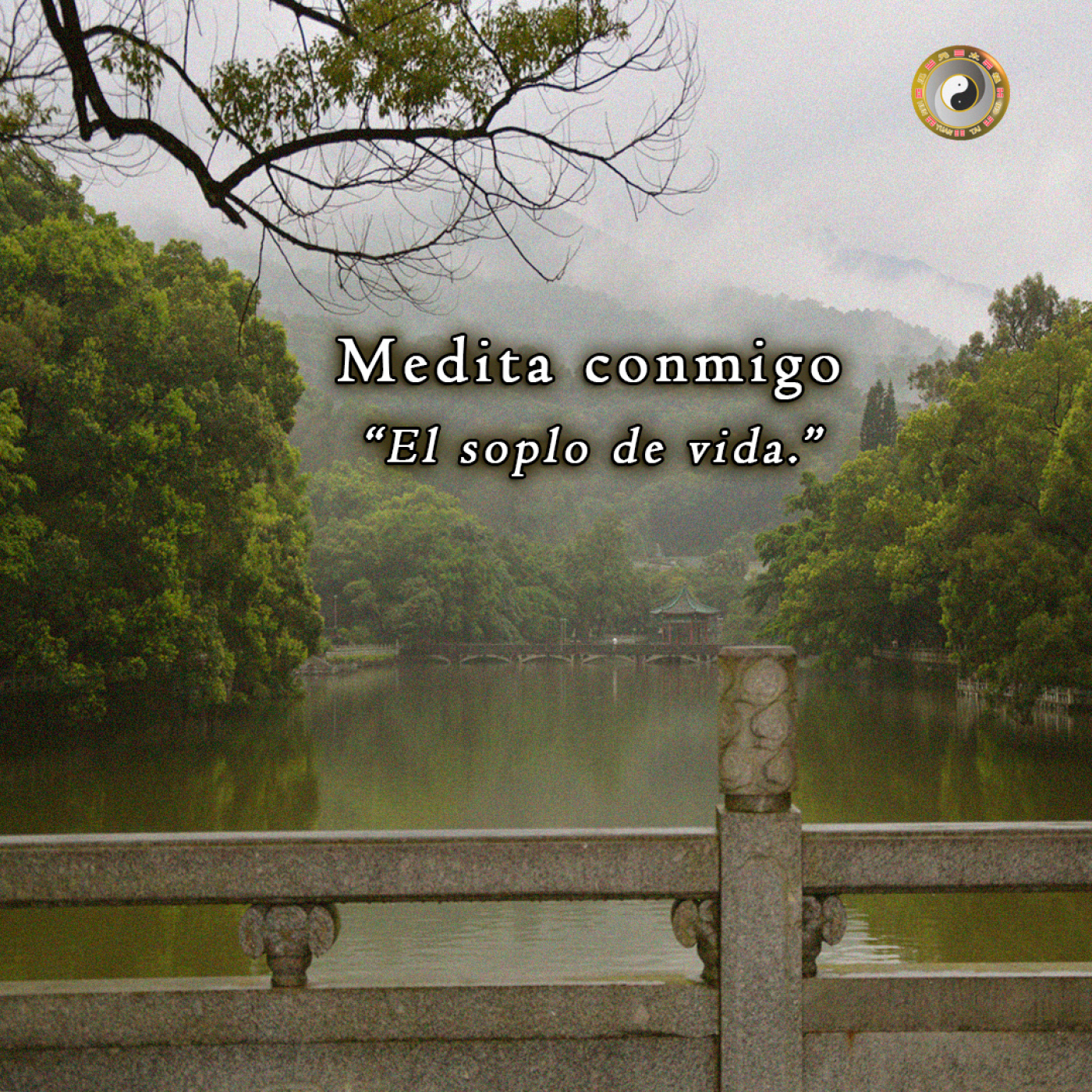 Meditación y Reflexión con Pedro Valencia
