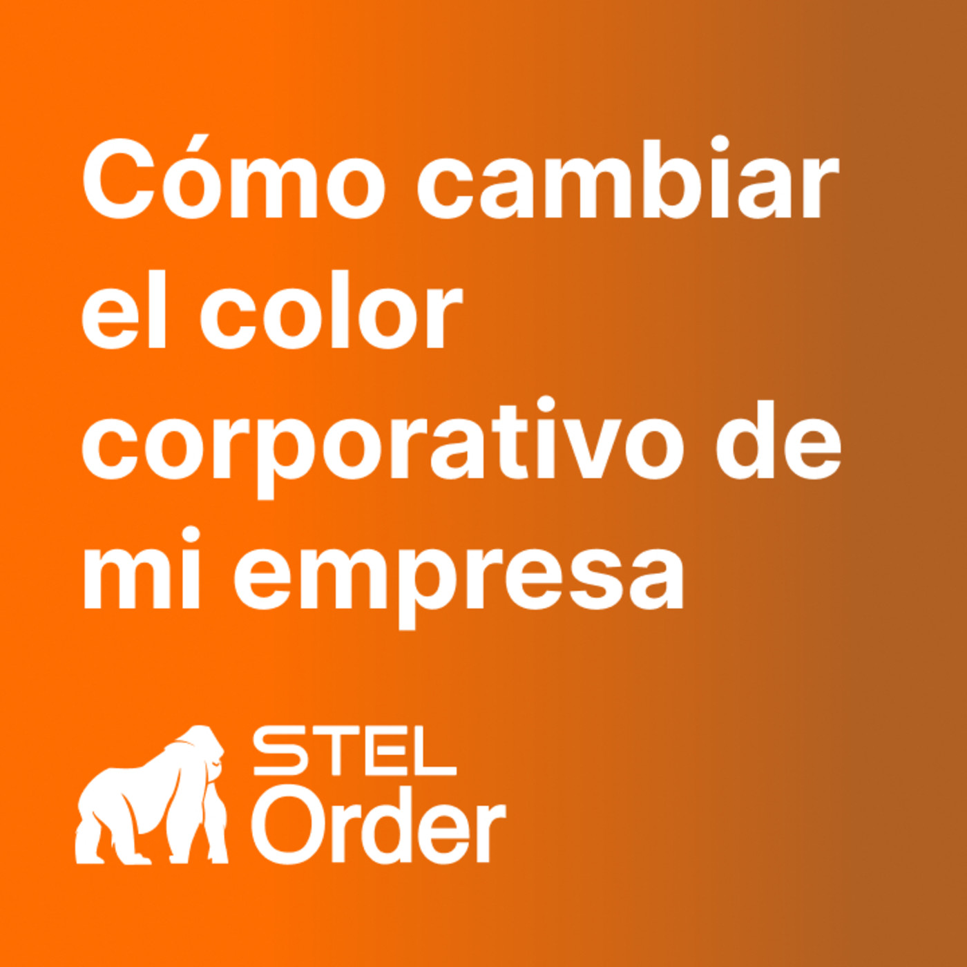 Ayuda y Soporte STEL Order