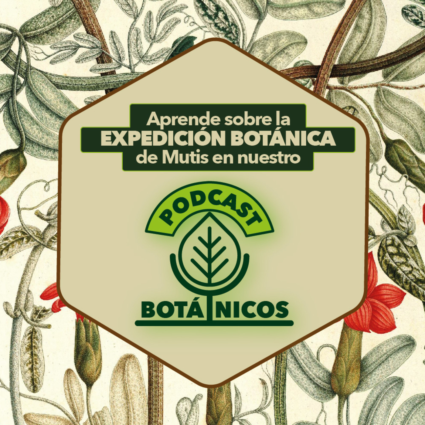 Podcast Botánicos