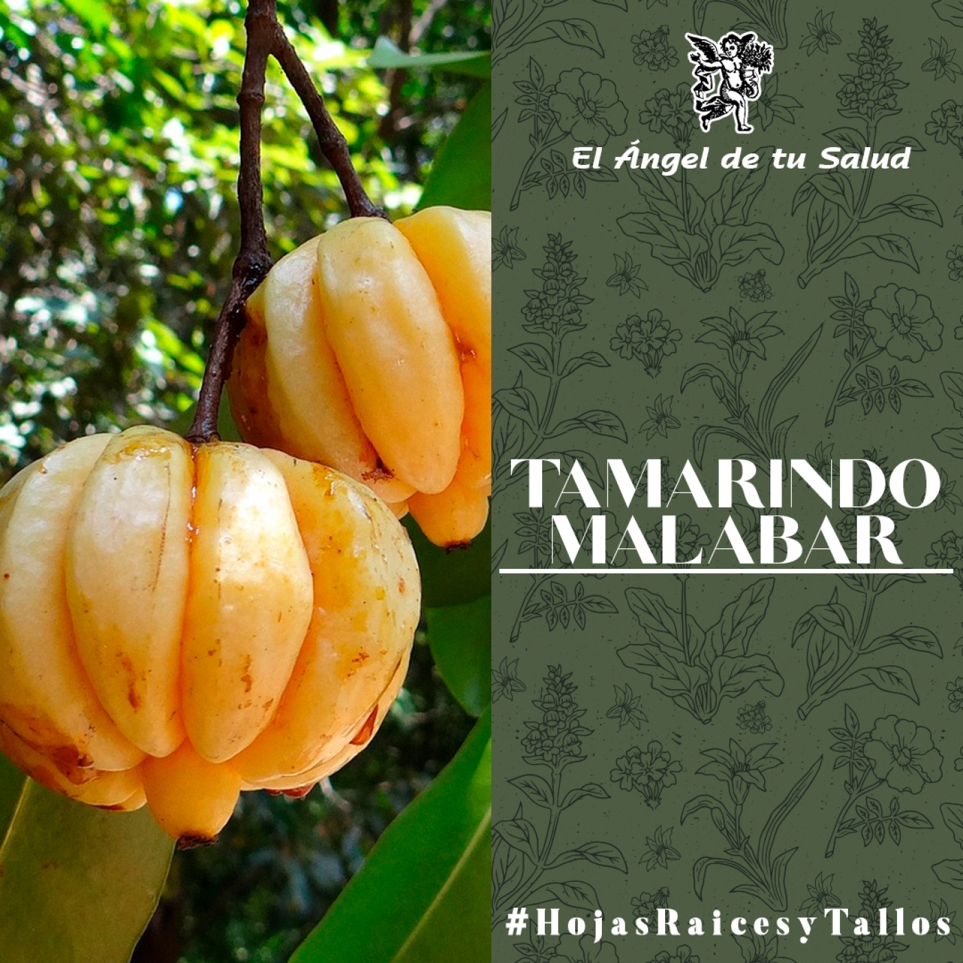 El Ángel de tu Salud - Tamarindo Malabar** episode artwork