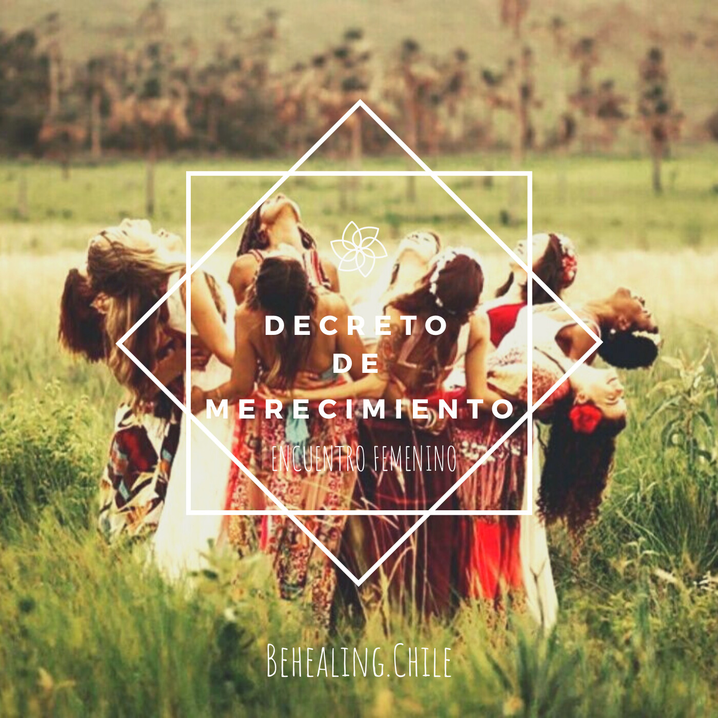 Behealing.chile