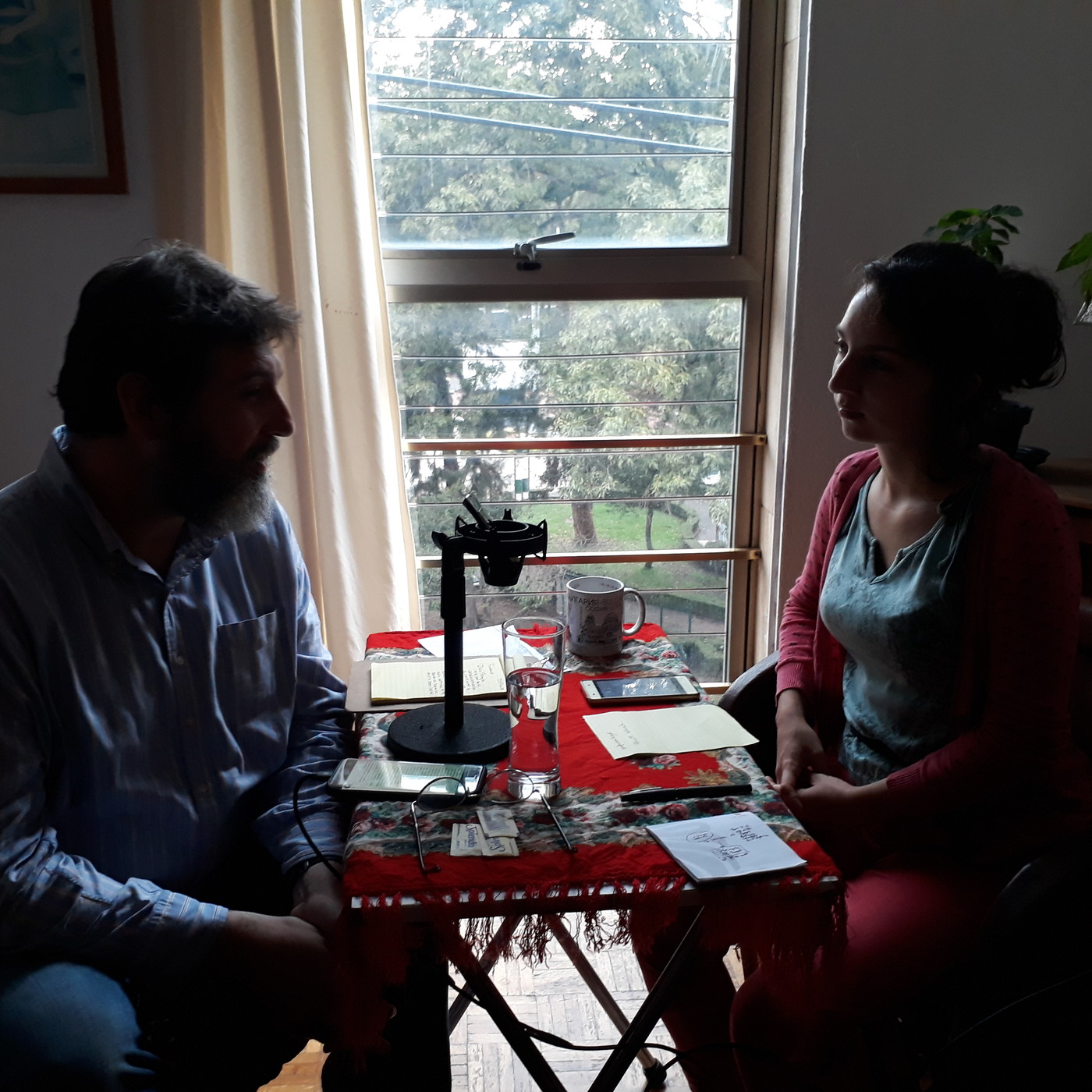Difusión interpretación simultánea profesional