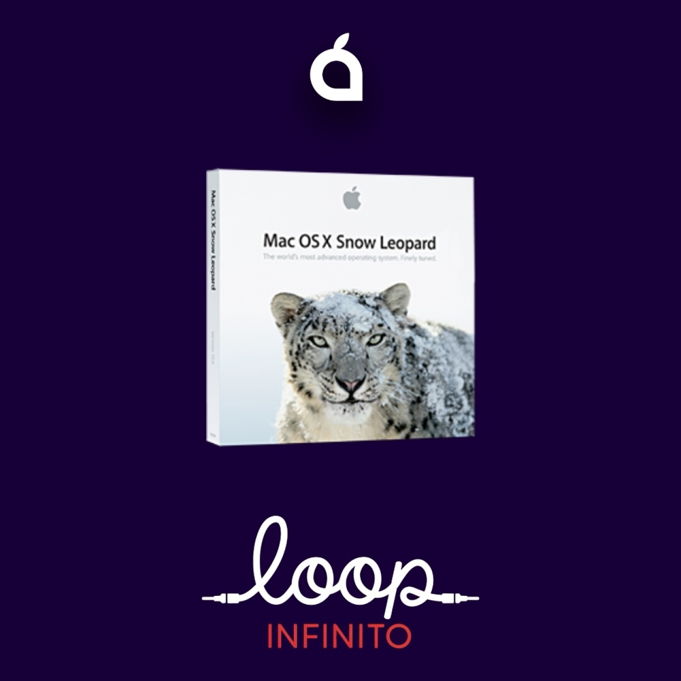 Amar Snow Leopard por las razones equivocadas