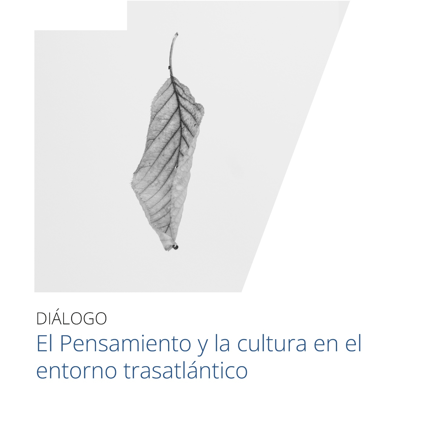Conferencias