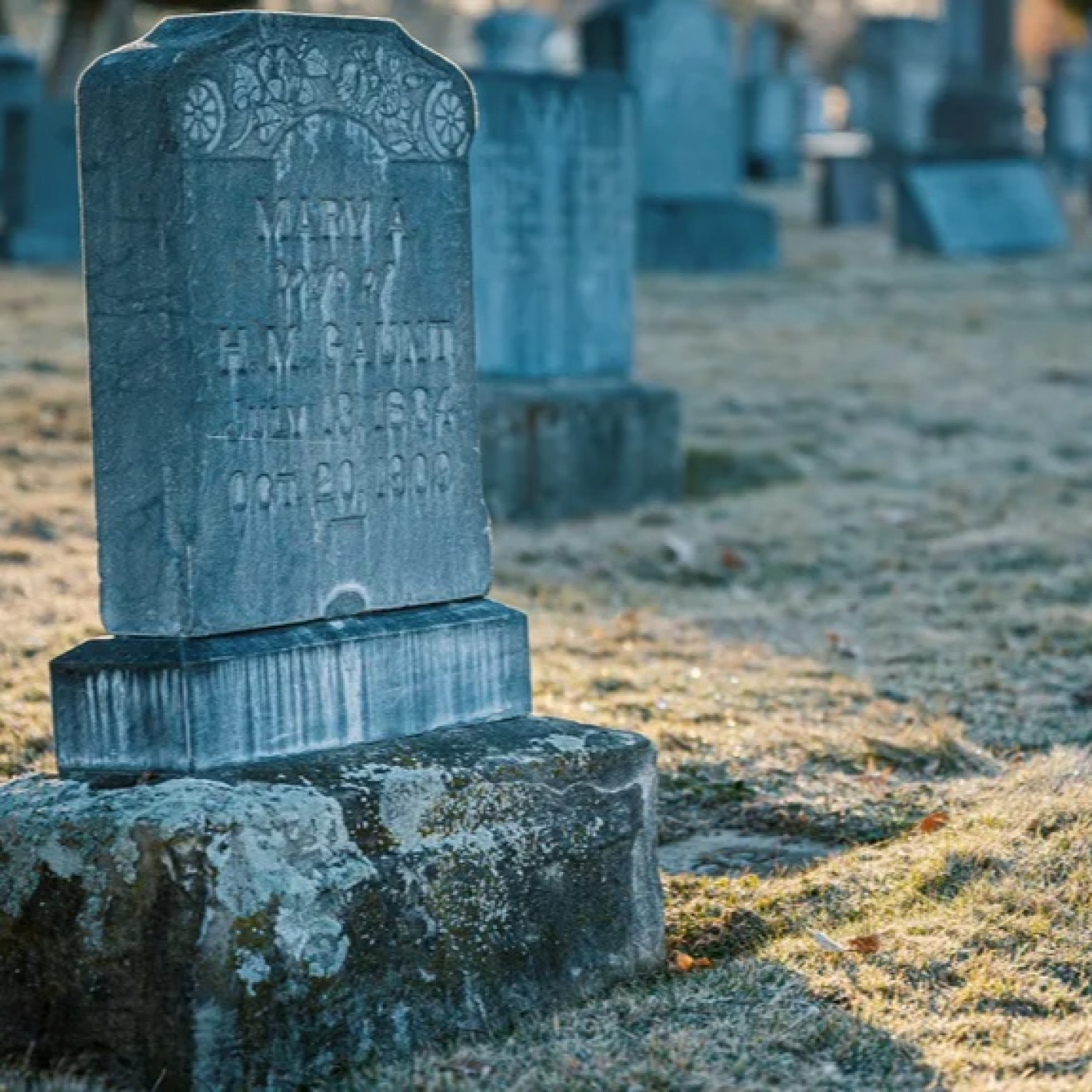 Los que Nos Dejaron en 2025 - 2ª Parte