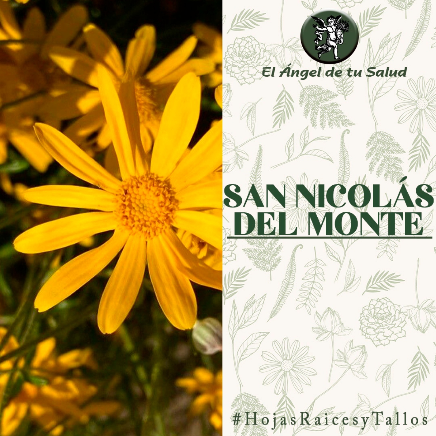 El Ángel de tu Salud - San Nicolás del Monte** episode artwork