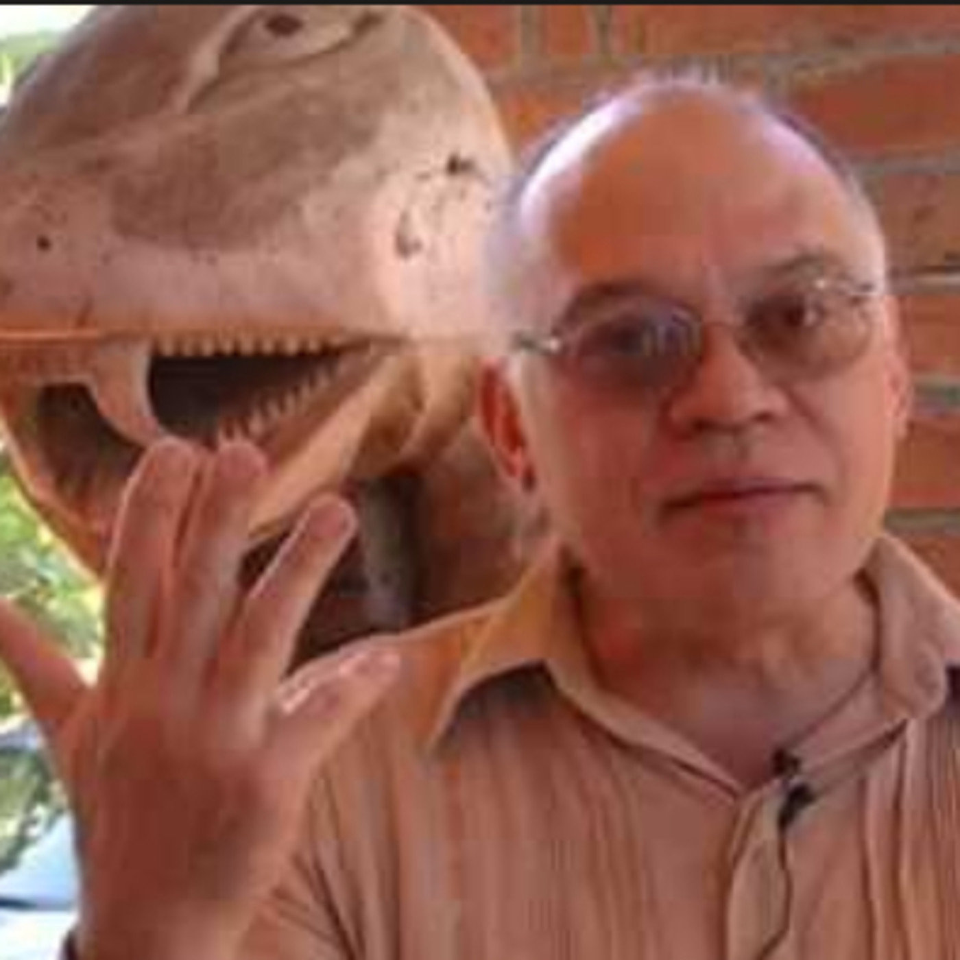 MUSEOS EN VIVO