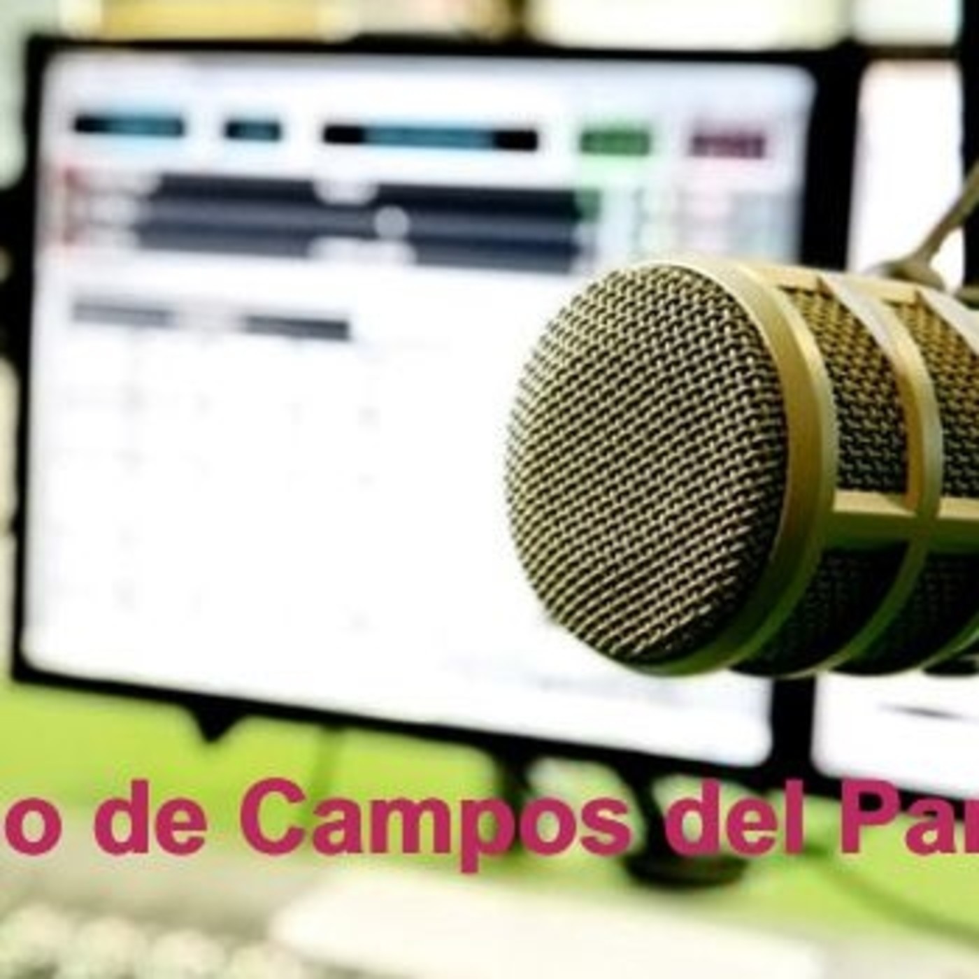 Ondeando los Campos Programa 25 episode artwork