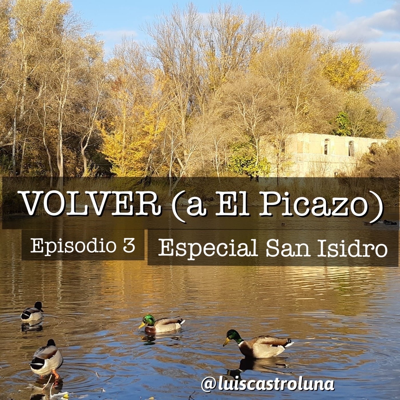 VOLVER (a El Picazo)