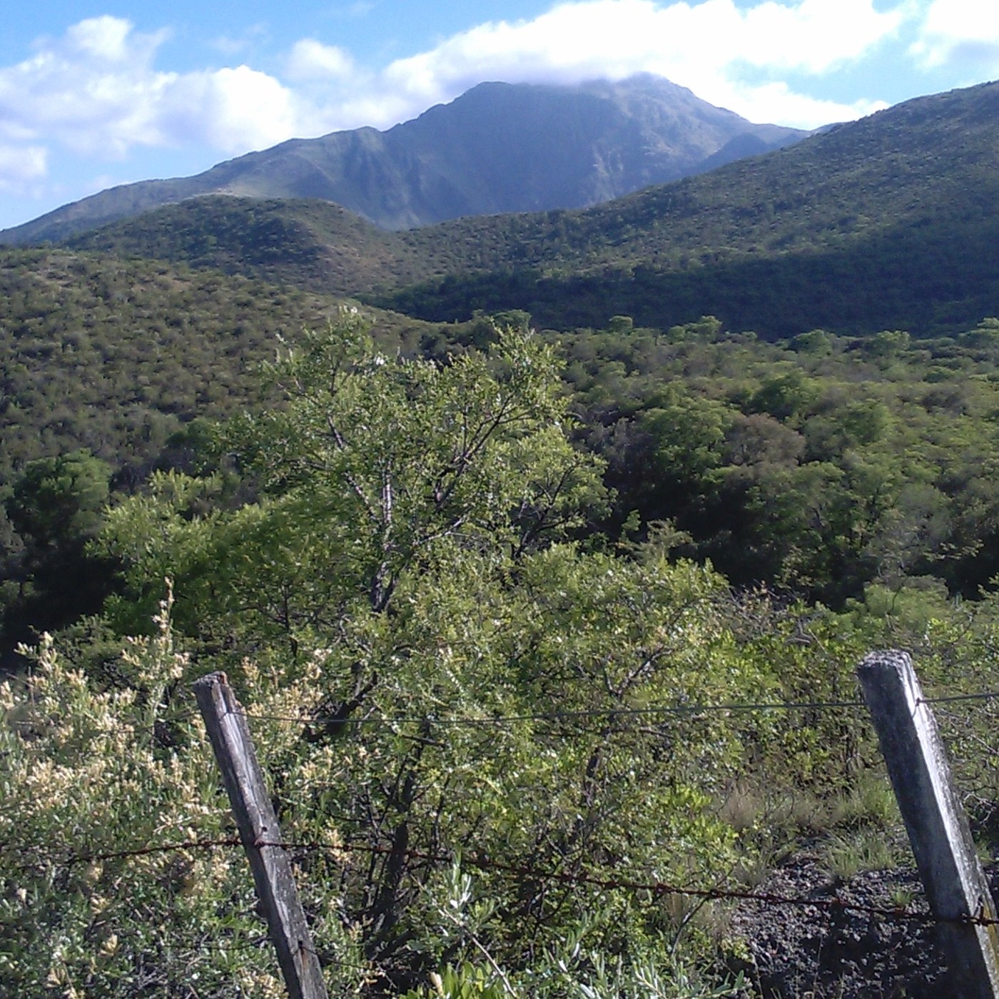 La Voz de la Tierra