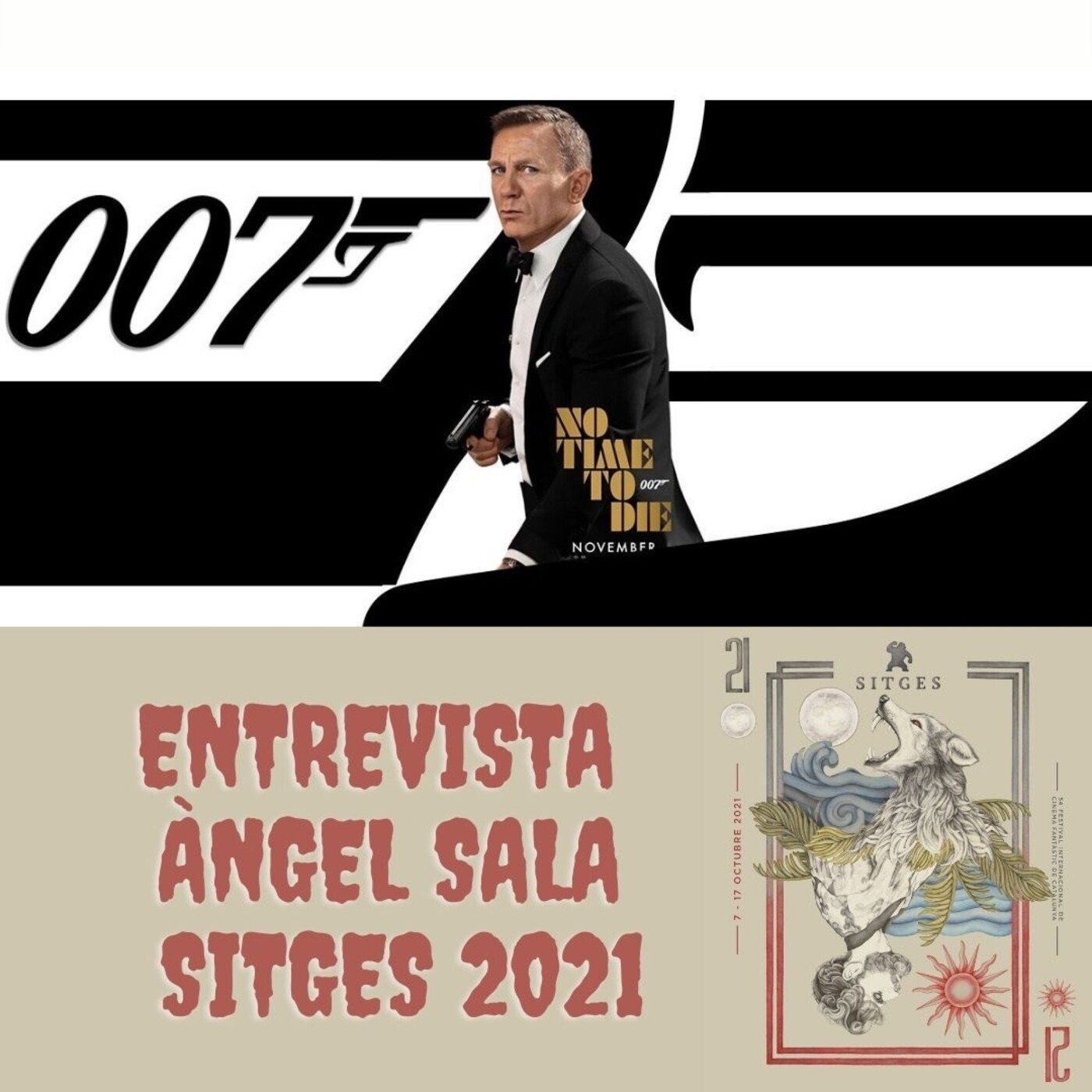 Podcast Ningú no és perfecte