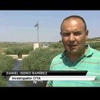 Del Campo a la Mesa - Entrevista a Daniel Isidoro (04/09/2018)