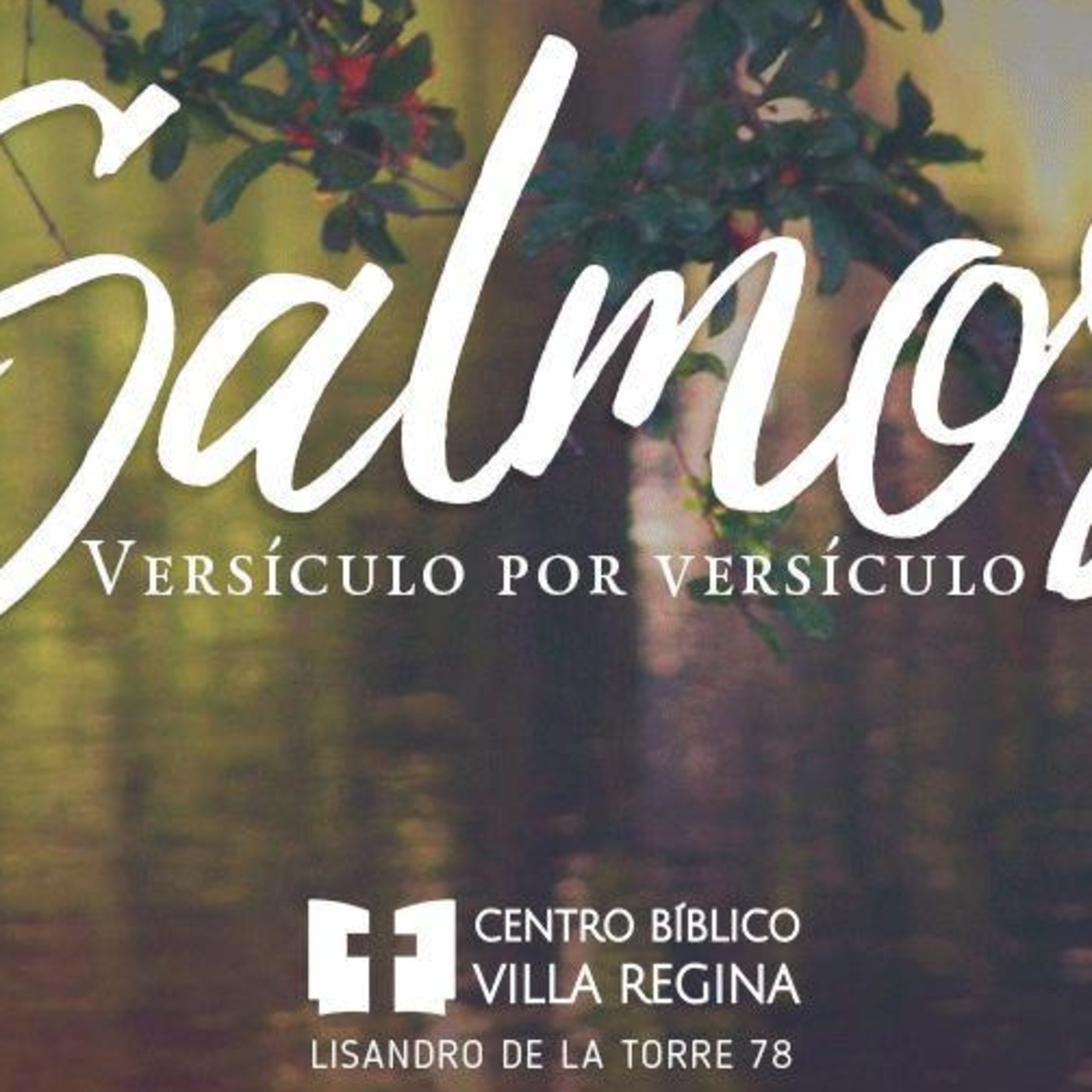 Salmos, versículo por versículo