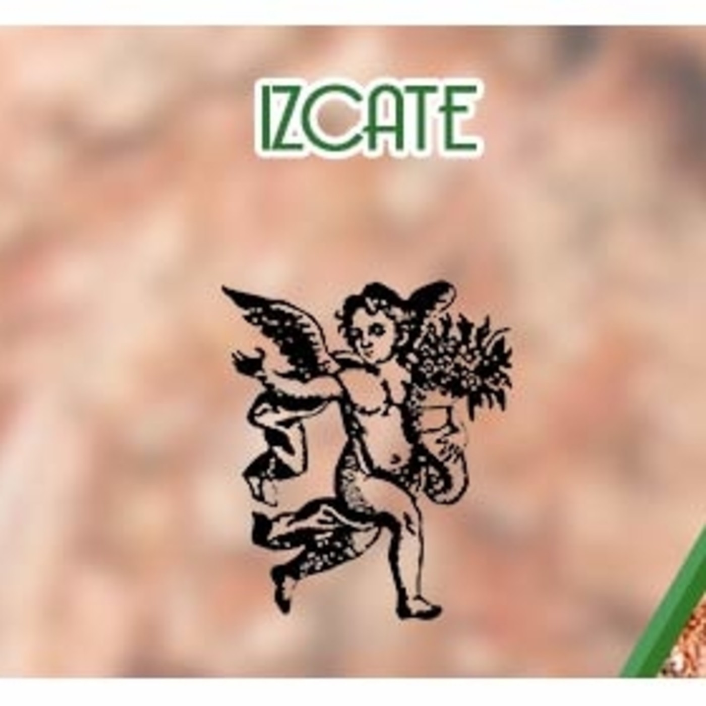 El Ángel de tu Salud - IZCATE*