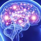 embed image