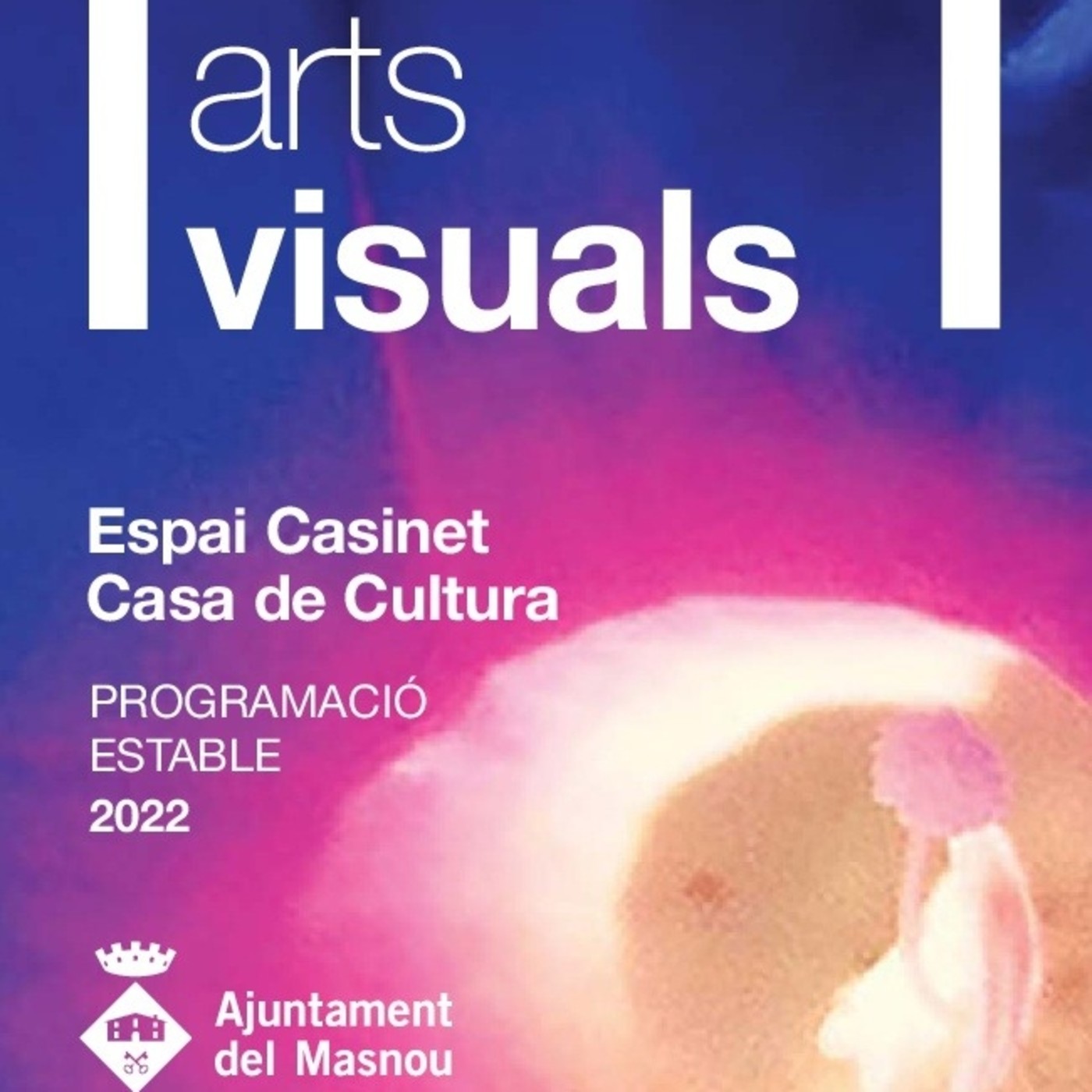 Informatiu Comarcal 17/01/2022 episode artwork